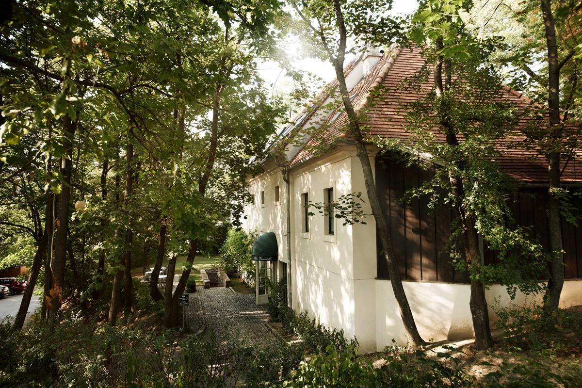 Alter Winzerkeller Bed and Breakfast Kirchberg am Wagram Buitenkant foto